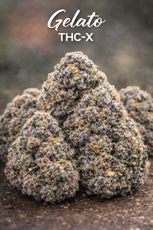 Gelato THC - X - CBD Portugal - CBDLegalPT