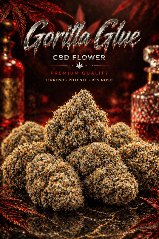 Gorilla Glue CBD - CBD Portugal - CBDLegalPT
