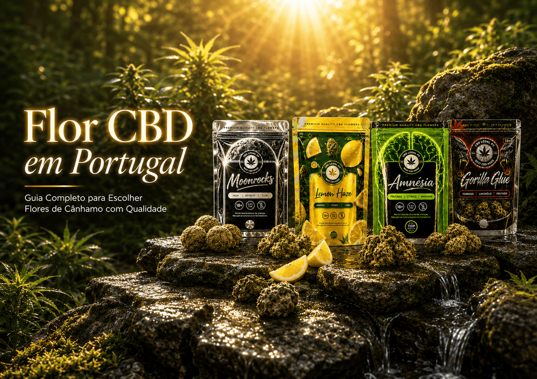 Flor CBD em Portugal: Guia Completo para Escolher Flores de Cânhamo com Qualidade - CBDLegalPT