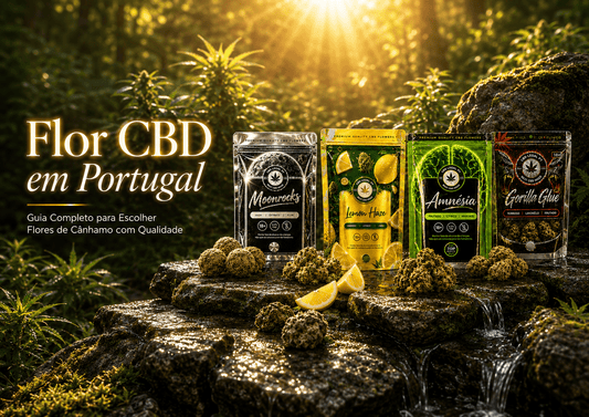 Flor CBD em Portugal: Guia Completo para Escolher Flores de Cânhamo com Qualidade - CBDLegalPT