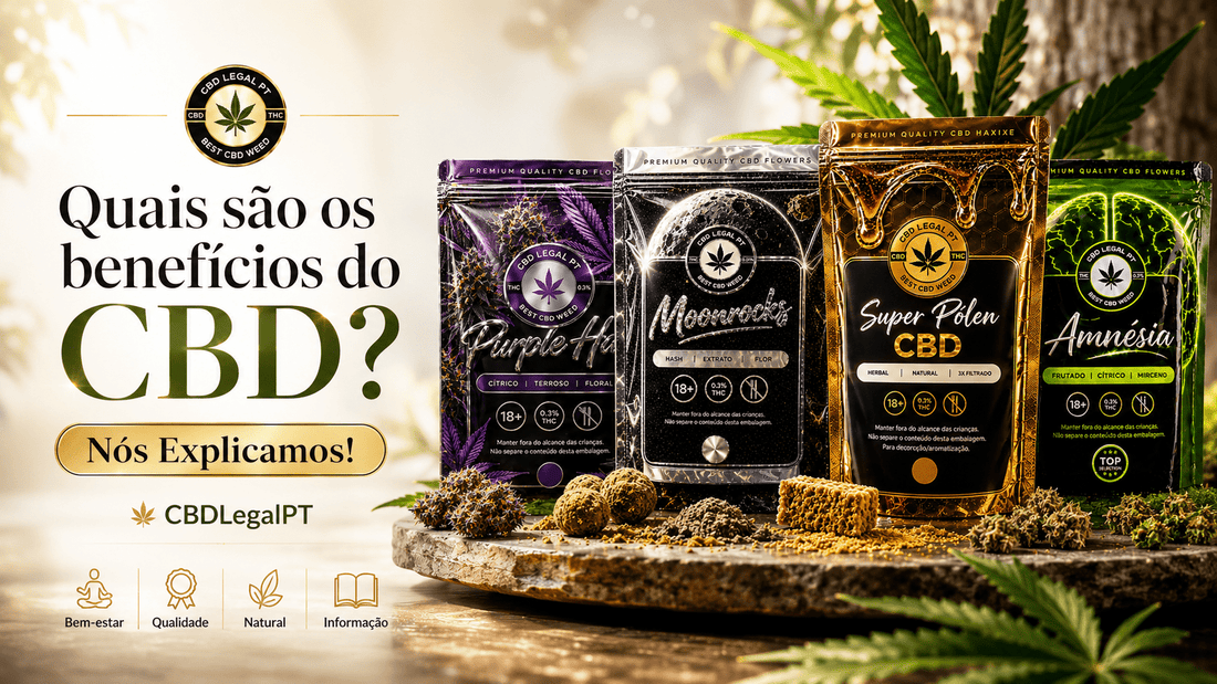 CBD: O Que Deves Saber Antes de Comprar Produtos de Cânhamo - CBDLegalPT