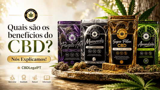 CBD: O Que Deves Saber Antes de Comprar Produtos de Cânhamo - CBDLegalPT