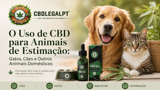 O Uso de CBD para Animais de Estimação: Gatos, Cães e Outros Animais Domésticos. - CBDLegalPT