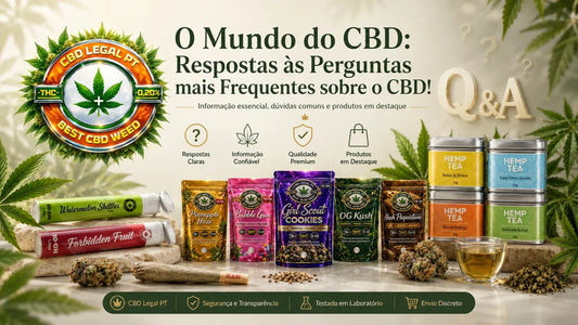 CBD: Respostas às Perguntas Mais Frequentes - CBDLegalPT