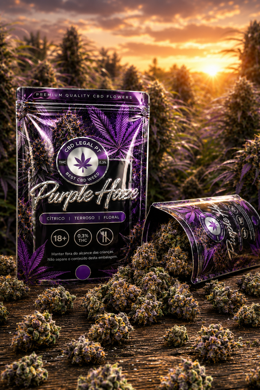 Purple Haze CBD