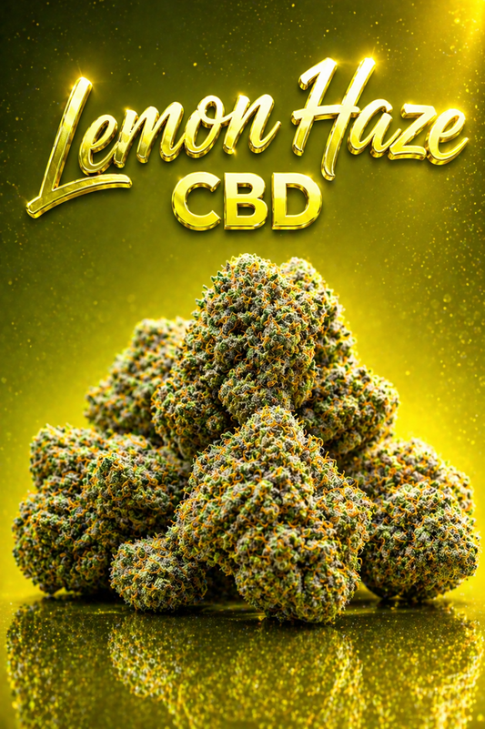 Lemon Haze CBD